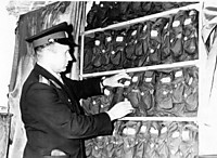 Старшина отдела